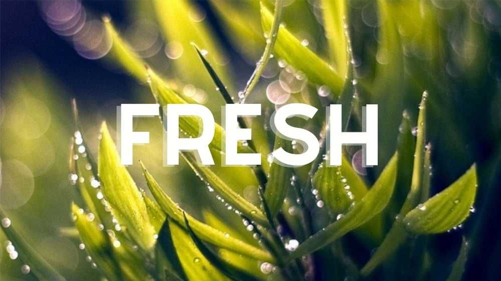 The word fresh shown boldly in white with a background of fresh morning grass with dew drops